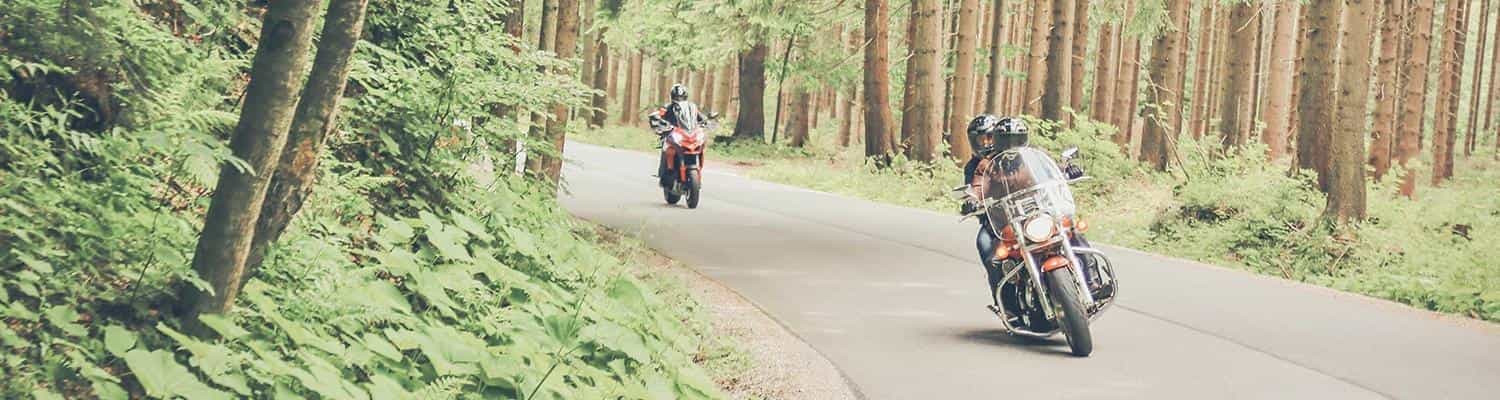 Two motorcyclists driving through woodland road