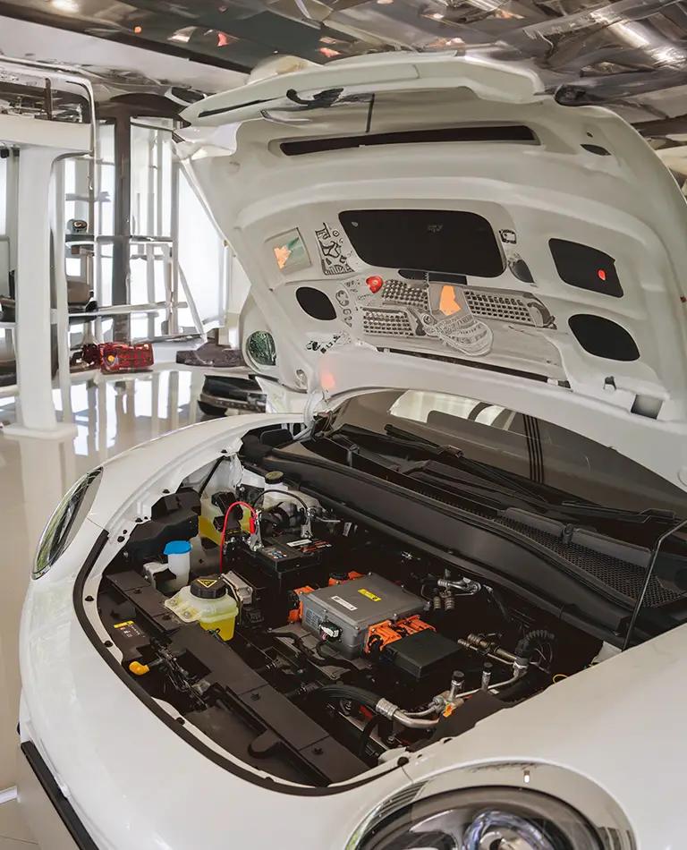 Electric Car Service | Book an Electric Car Service | RAC