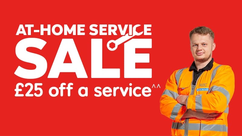 CDRSD-2594_SMR-Sale_product_card_800x450.webp