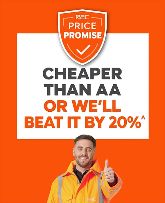 CDRSD-1767-Landing_page-Mobile-568x700 OWBIB.webp