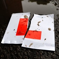 New drivers behind half of road crashes