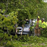 Windy weather demands special care