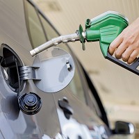 Report fuels for thought for future