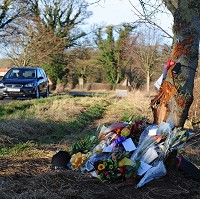 Laws needed to reduce road deaths
