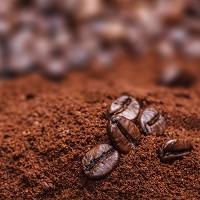 Coffee has right blend for biofuel
