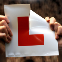 Teen kills deer on driving test - but still passes