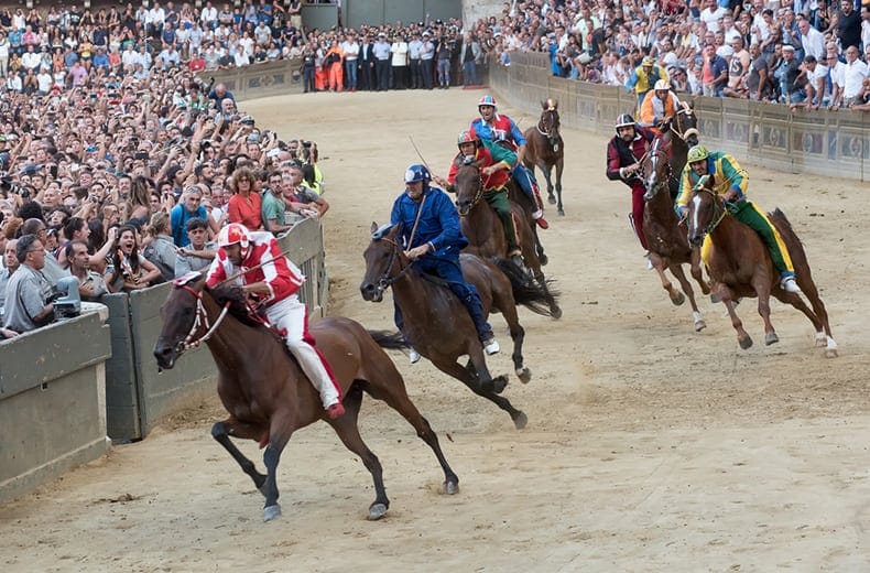 sienna horse race