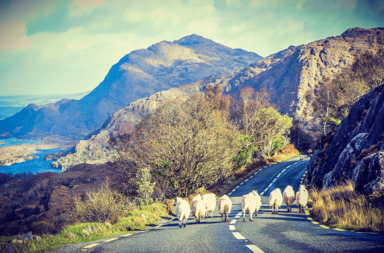 driving in ireland