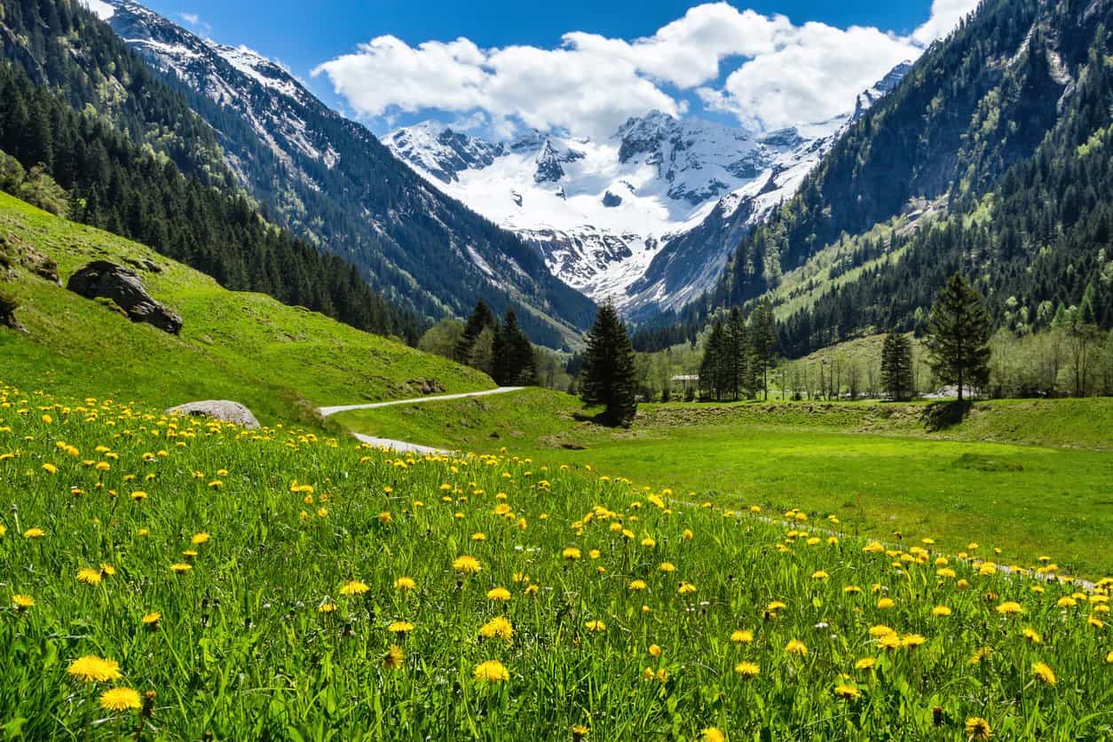 rac austria guide