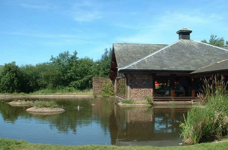 tebay services