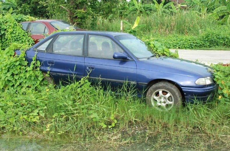 abandoned-car-plants