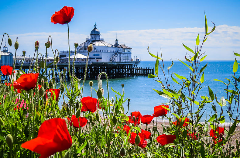 cheap-family-holiday-uk-eastbourne