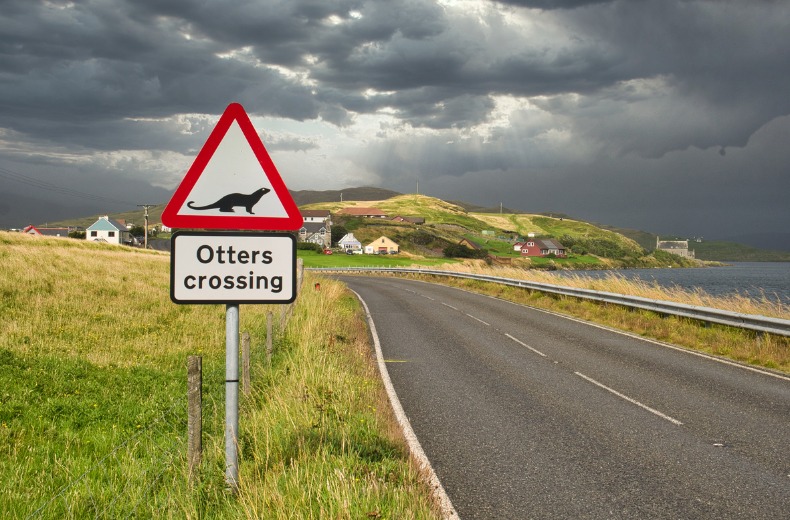 hit-animal-otter-sign