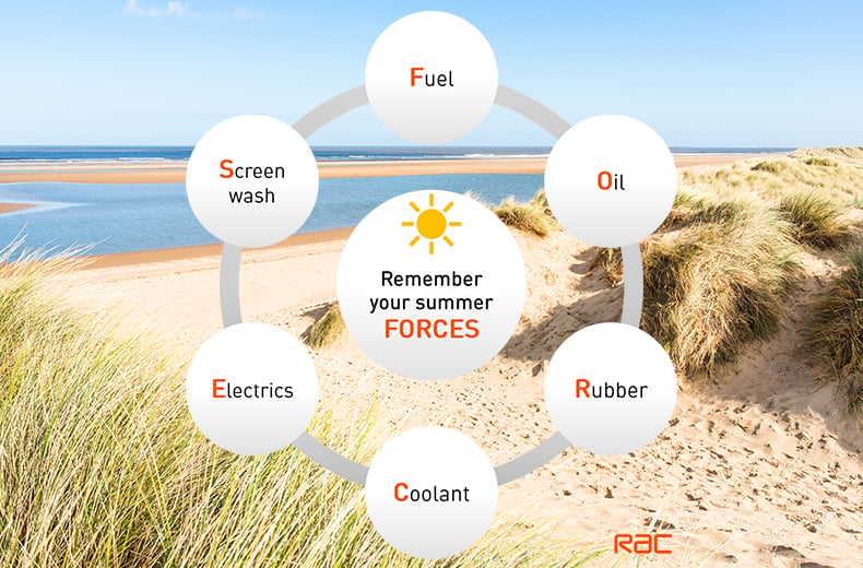 summer-forces-graphic-beach