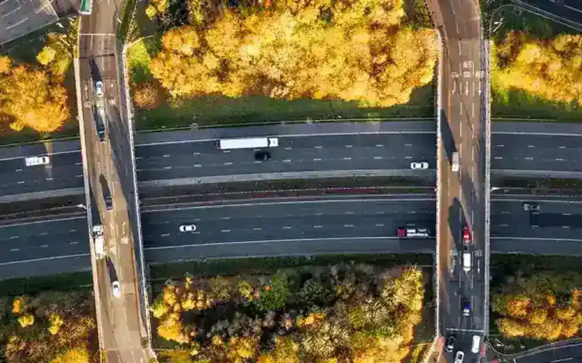 Autumn road 