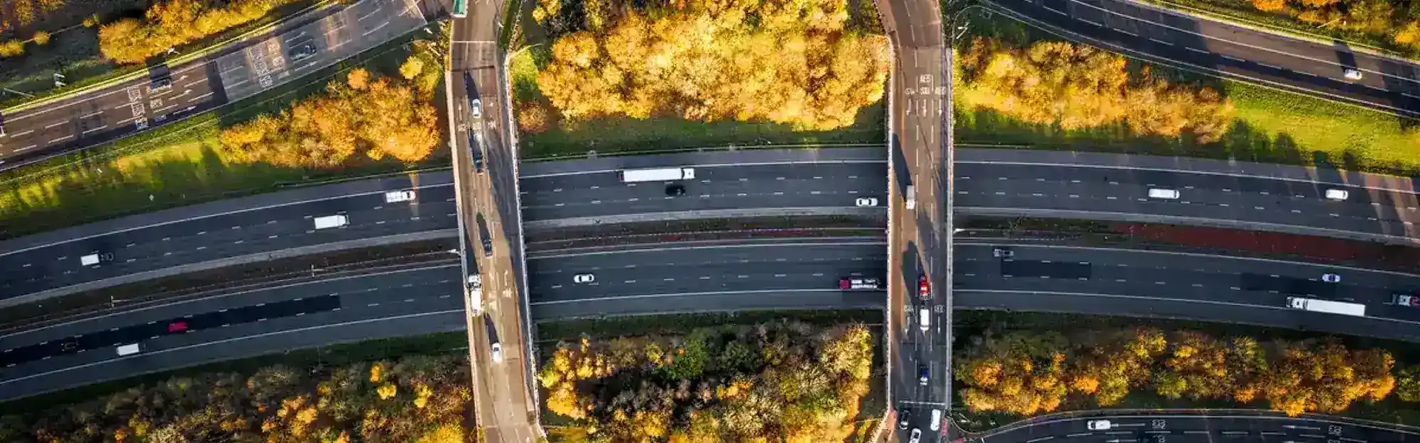 Autumn road
