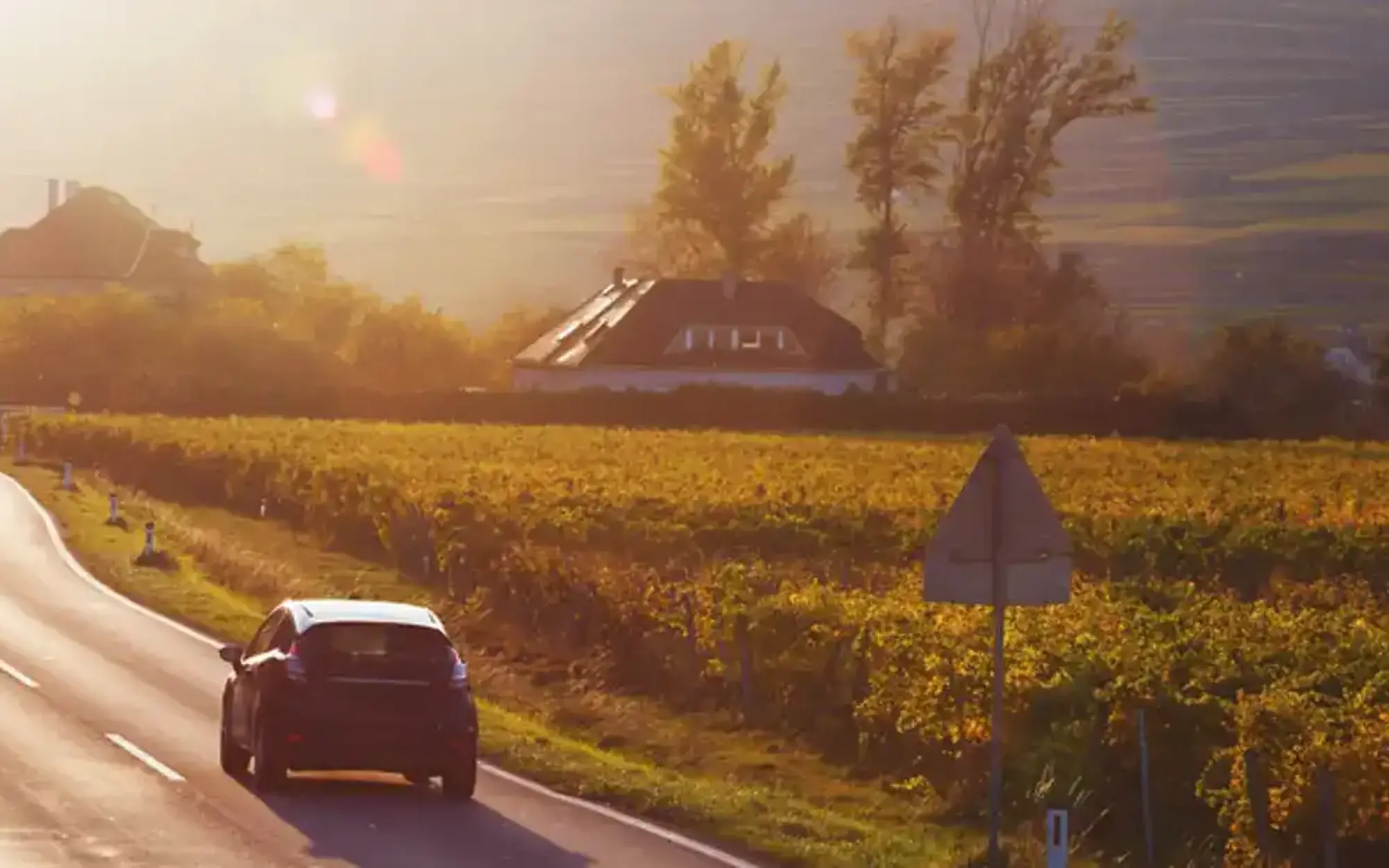 Car driving on autumn road